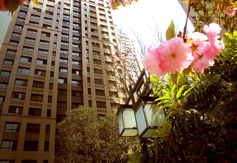 九州酷游(酷游·ku游)官方网站